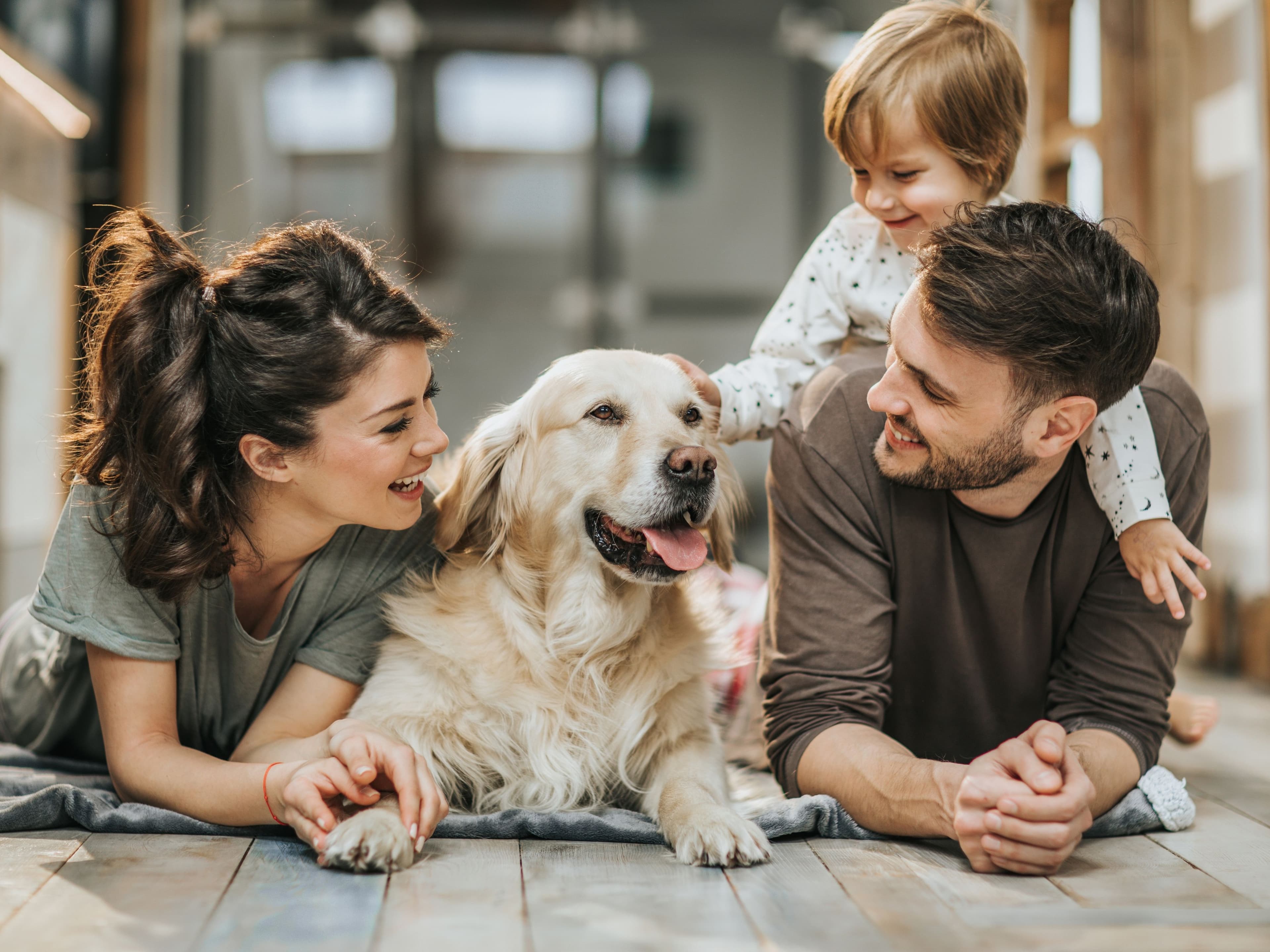 Familia compartiendo con su perro en el living